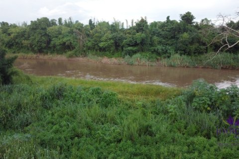 ที่ดินในMae Rim, ประเทศไทย № 200311 - รูปถ่าย 5