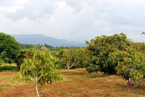 Terreno en Chiang Mai, Tailandia № 162554 - foto 5