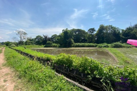 Terreno en Chiang Mai, Tailandia № 162557 - foto 8