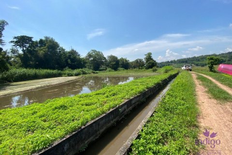 Terreno en Chiang Mai, Tailandia № 162557 - foto 9