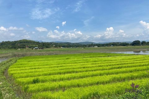 Terreno en Chiang Mai, Tailandia № 162557 - foto 5