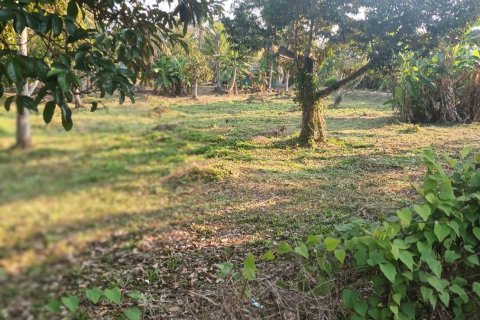 Land in Ko Samui, Thailand 8200 sq.m. № 191323 - photo 4