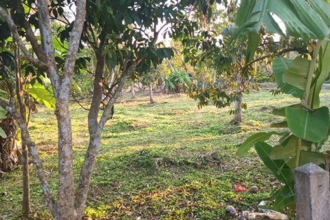 Land in Ko Samui, Thailand 8200 sq.m. № 191323 - photo 5