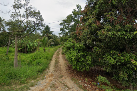 Land in Ko Samui, Thailand 8200 sq.m. № 191323 - photo 2
