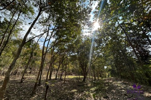 Terreno en Chiang Mai, Tailandia № 205565 - foto 2