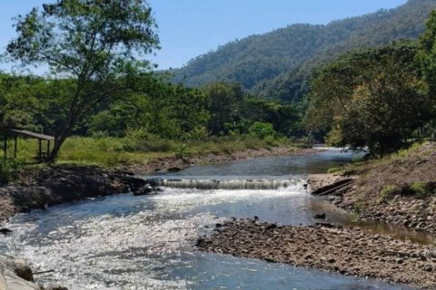 Terreno en Chiang Mai, Tailandia № 205565 - foto 5