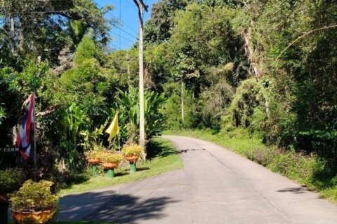Terreno en Chiang Mai, Tailandia № 205565 - foto 8