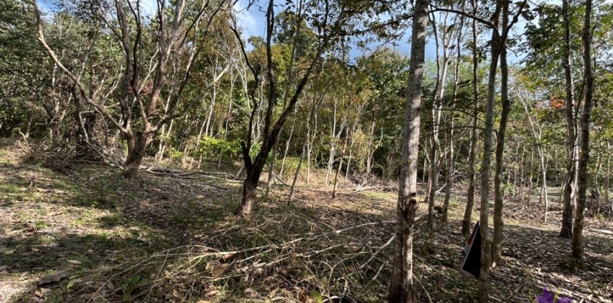 Terreno en Chiang Mai, Tailandia № 205565
