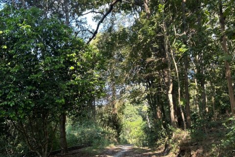 Terreno en Chiang Mai, Tailandia № 205565 - foto 4