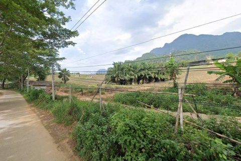 Terreno en Mae Sai, Tailandia № 134523 - foto 5