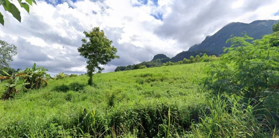 Terreno en Mae Sai, Tailandia № 134523