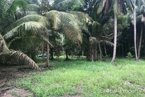 Terreno en Ko Chang, Tailandia № 43049 - foto 2