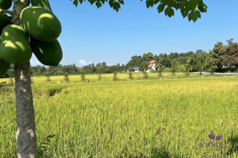 Terreno en Chiang Mai, Tailandia № 162561 - foto 14