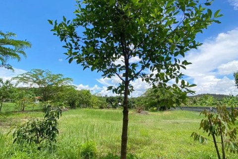 Terreno en Chiang Mai, Tailandia № 162561 - foto 29