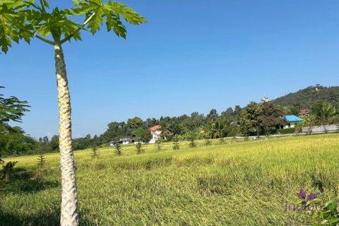 Terreno en Chiang Mai, Tailandia № 162561 - foto 16