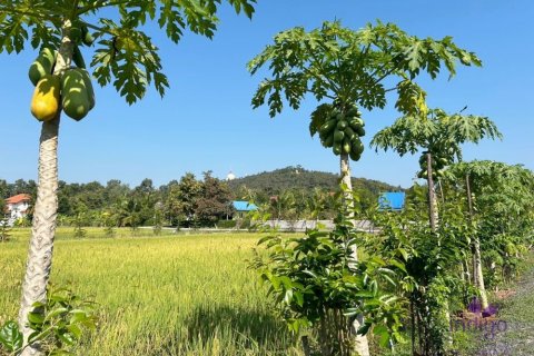 Terreno en Chiang Mai, Tailandia № 162561 - foto 15