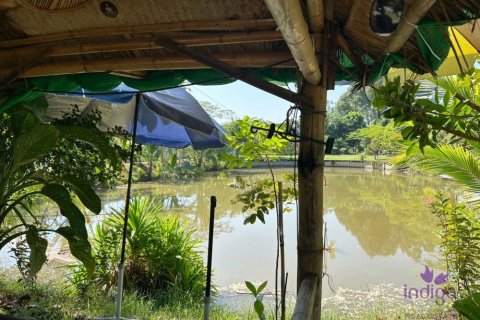 Terreno en Chiang Mai, Tailandia № 162561 - foto 12