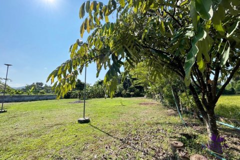 Terreno en Chiang Mai, Tailandia № 162561 - foto 10