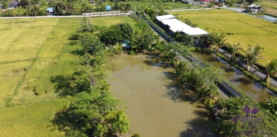 Terreno en Chiang Mai, Tailandia № 162561