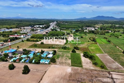 Земельный участок в Районге, Таиланд 145600м2 № 198307 - фото 5