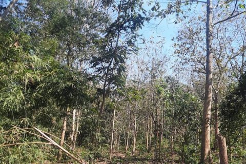 Terreno en Chiang Rai, Tailandia № 134706 - foto 2
