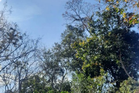 Terreno en Chiang Rai, Tailandia № 134706 - foto 3
