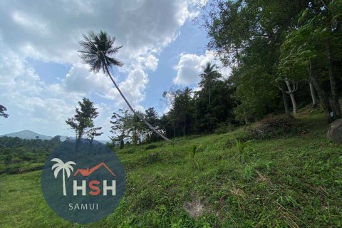 Terreno 958 m2 en Ko Samui, Tailandia № 180213 - foto 6