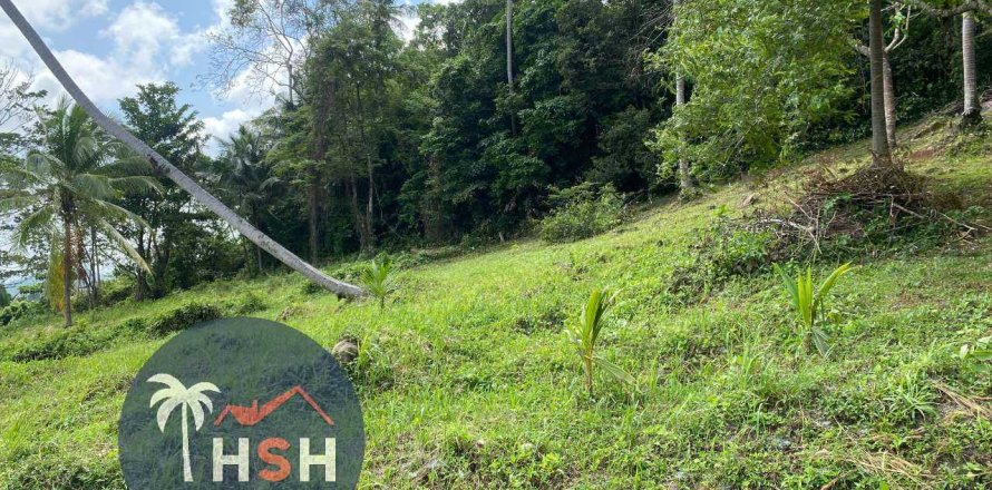 Terreno 958 m2 en Ko Samui, Tailandia № 180213