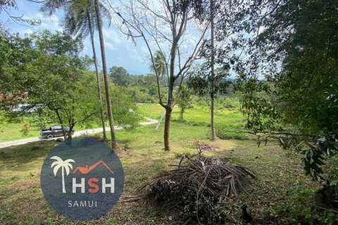 Terreno 958 m2 en Ko Samui, Tailandia № 180213 - foto 4