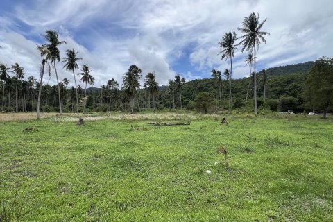 Grundstück in Ko Samui, Thailand № 144313