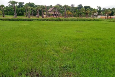 Terreno en Chiang Mai, Tailandia № 162847 - foto 11