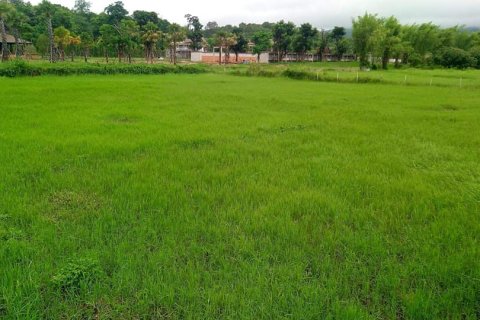 Terreno en Chiang Mai, Tailandia № 162847 - foto 8
