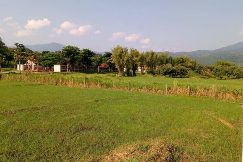 Terreno en Chiang Mai, Tailandia № 162847 - foto 3