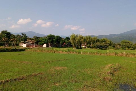 Terreno en Chiang Mai, Tailandia № 162847 - foto 4