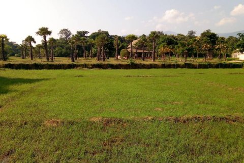 Terreno en Chiang Mai, Tailandia № 162847 - foto 7