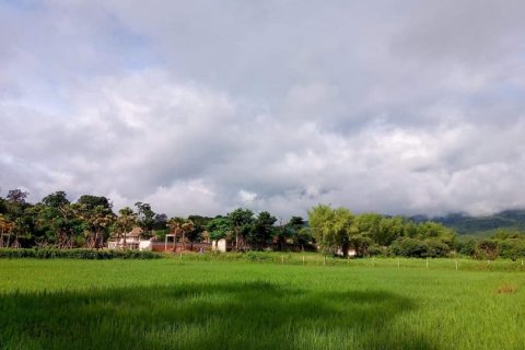 Terreno en Chiang Mai, Tailandia № 162847 - foto 10