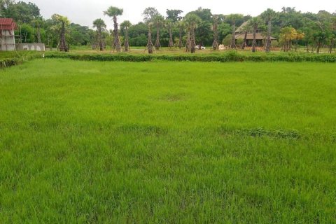 Terreno en Chiang Mai, Tailandia № 162847 - foto 9