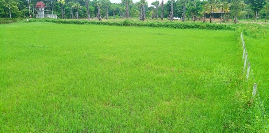 Terreno en Chiang Mai, Tailandia № 162847