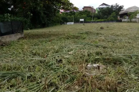 Terreno en Chiang Mai, Tailandia № 162850 - foto 3