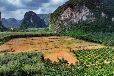 Terreno en Krabi, Tailandia № 134643 - foto 7