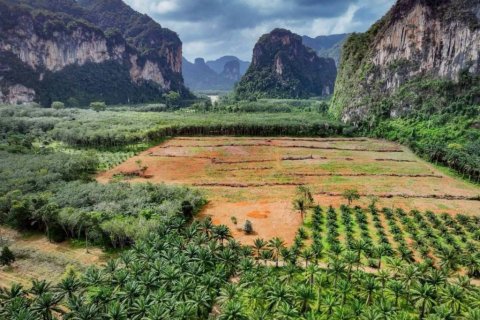 Terreno en Krabi, Tailandia № 134643 - foto 4