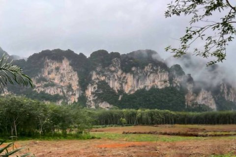 Terreno en Krabi, Tailandia № 134643 - foto 2