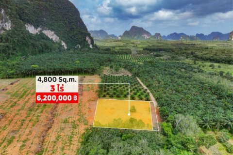 Terreno en Krabi, Tailandia № 134643 - foto 6
