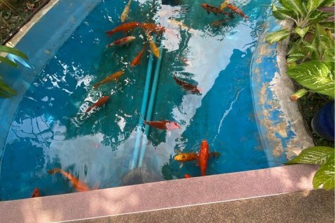 Condominio de 2 dormitorios en Kathu, Tailandia № 142054 - foto 18
