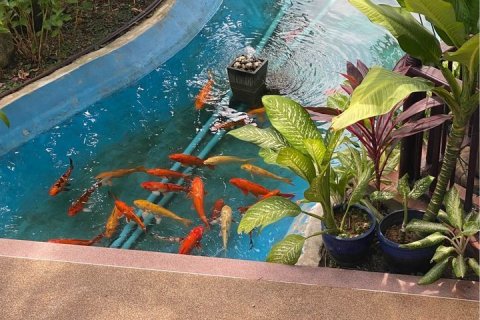 Condominio de 2 dormitorios en Kathu, Tailandia № 142054 - foto 9