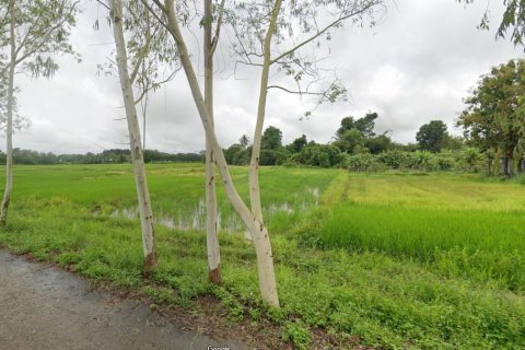 Terreno en Mae Chai, Tailandia № 118405 - foto 6