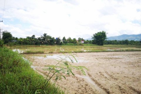 Terreno en Mae Chai, Tailandia № 118405 - foto 5