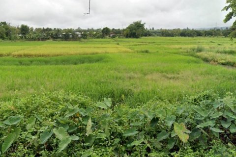 Terreno en Mae Chai, Tailandia № 118405 - foto 3