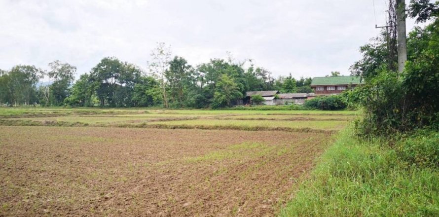 Terreno en Mae Chai, Tailandia № 118405