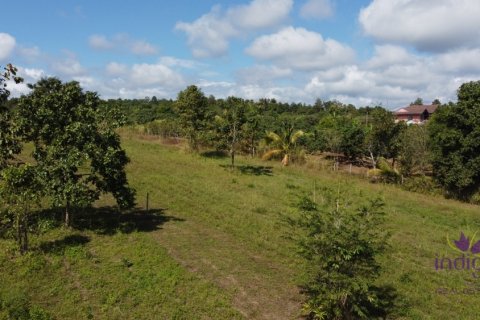 Grundstück in Mae Taeng, Thailand № 55352 - Foto 8